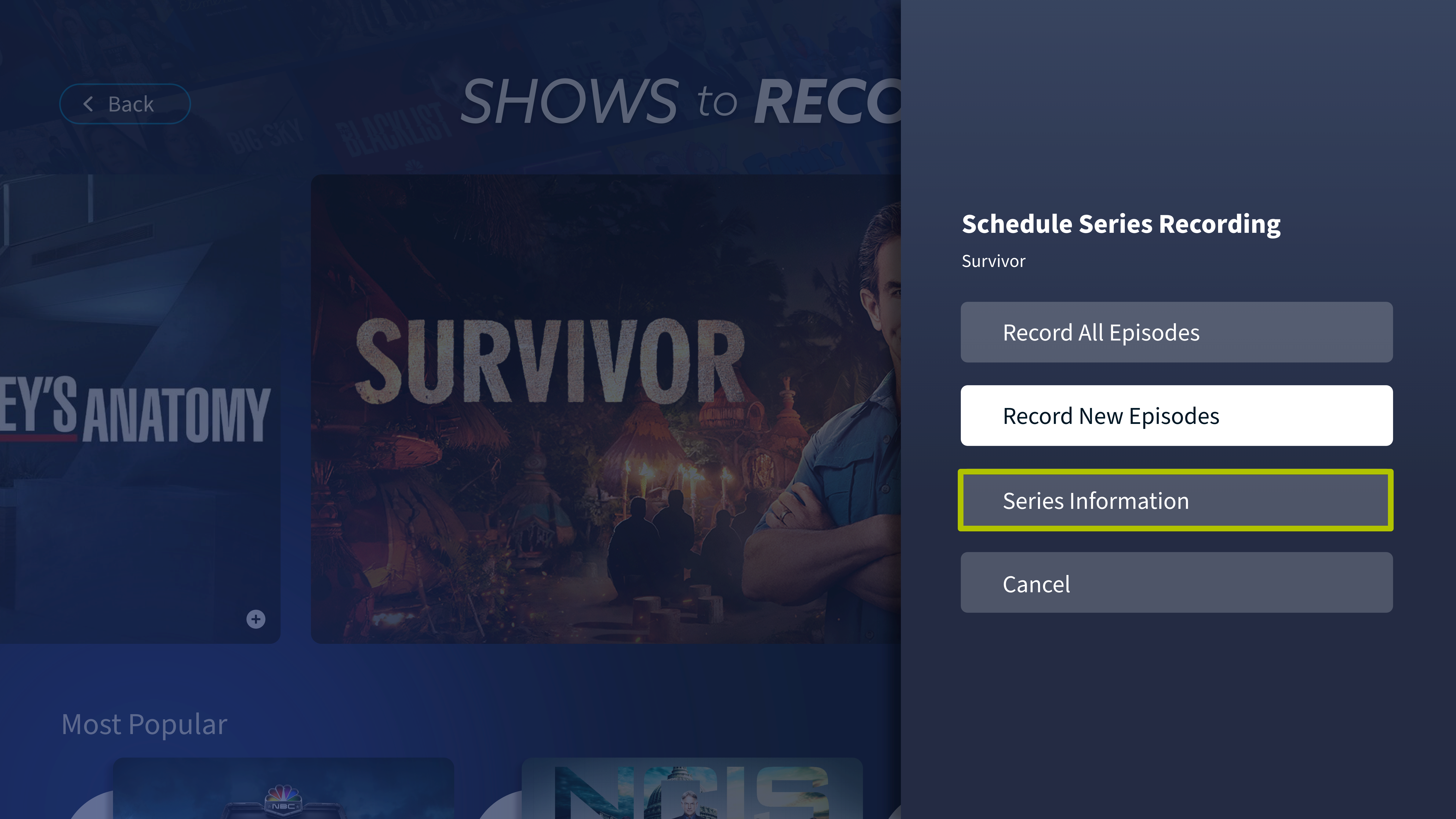 Series Information Series Window.png